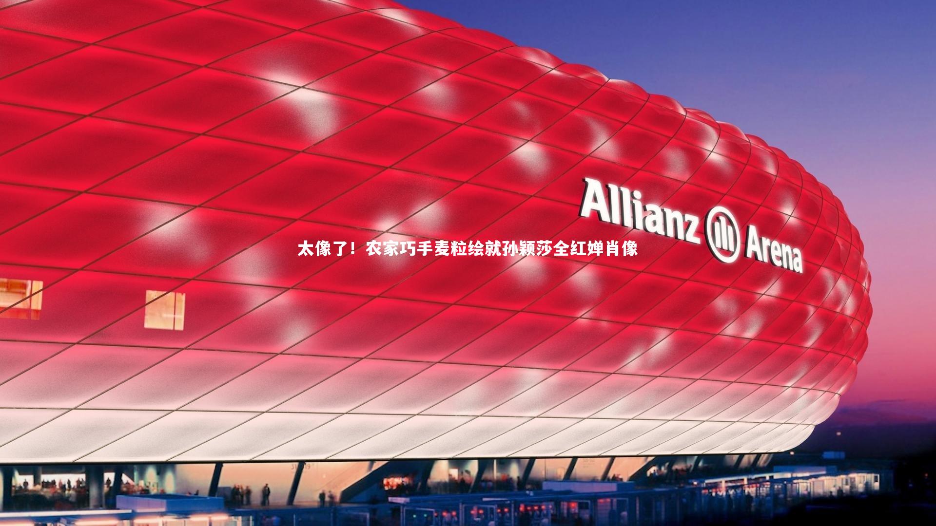 太像了！农家巧手麦粒绘就孙颖莎全红婵肖像